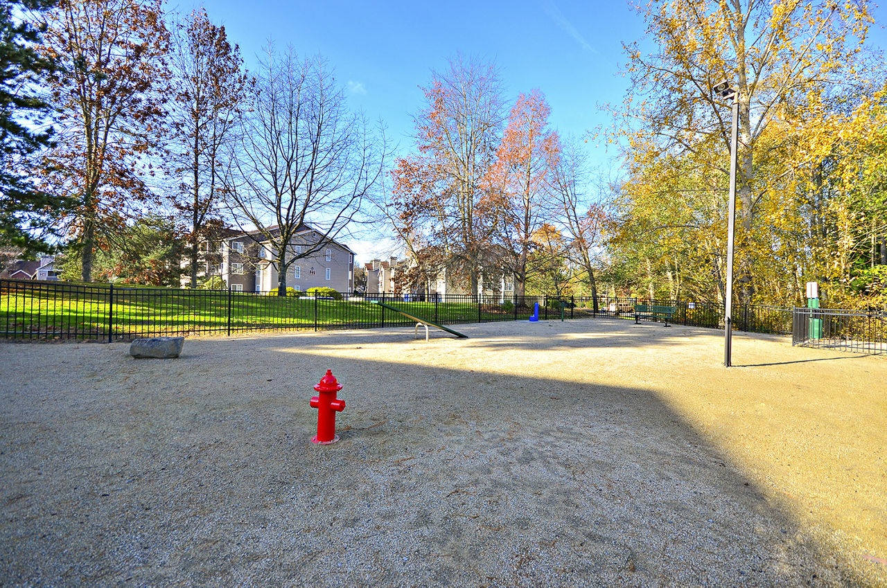 Dog park at Bay Court At Harbour Pointe Apartments (1 of 2)