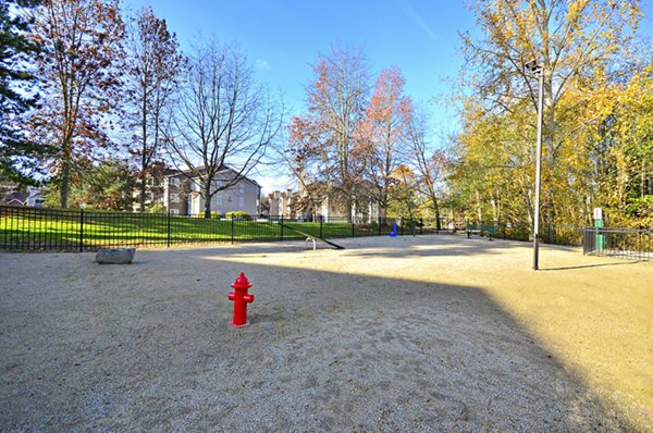 Spacious dog park with agility equipment at Bay Court at Harbour Pointe Apartments, ideal for pet-friendly living in a welcoming community