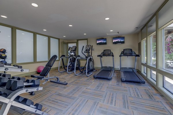 State-of-the-art fitness center with modern equipment at The Berkshire Apartments