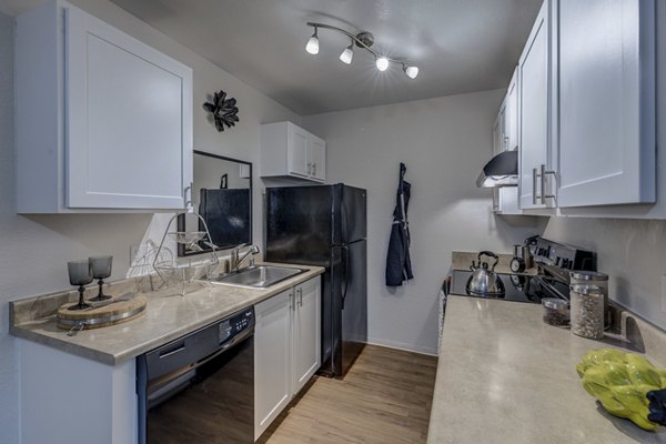 Modern kitchen with stainless steel appliances at The Berkshire Apartments