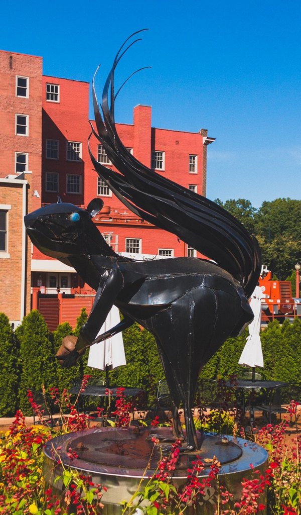 Campus Pointe Apartments: Vibrant neighborhood view showcasing community spaces and greenery at luxury apartments in prime location