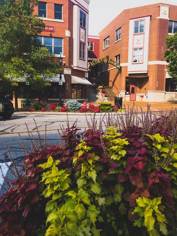 Street scene with charming brick buildings and vibrant plants near the Acorn sign