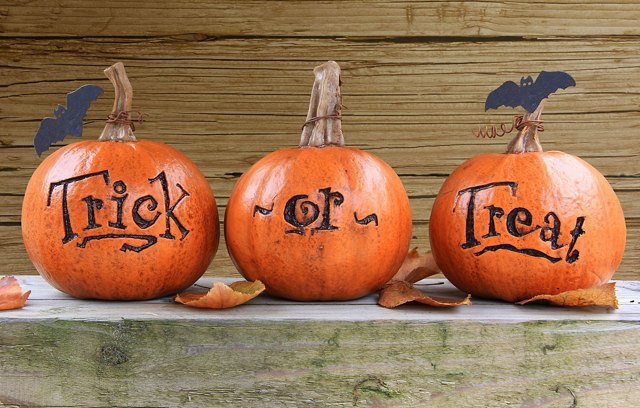 Greystar-geen-pumpkin