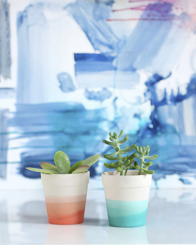 dip dye plant pots