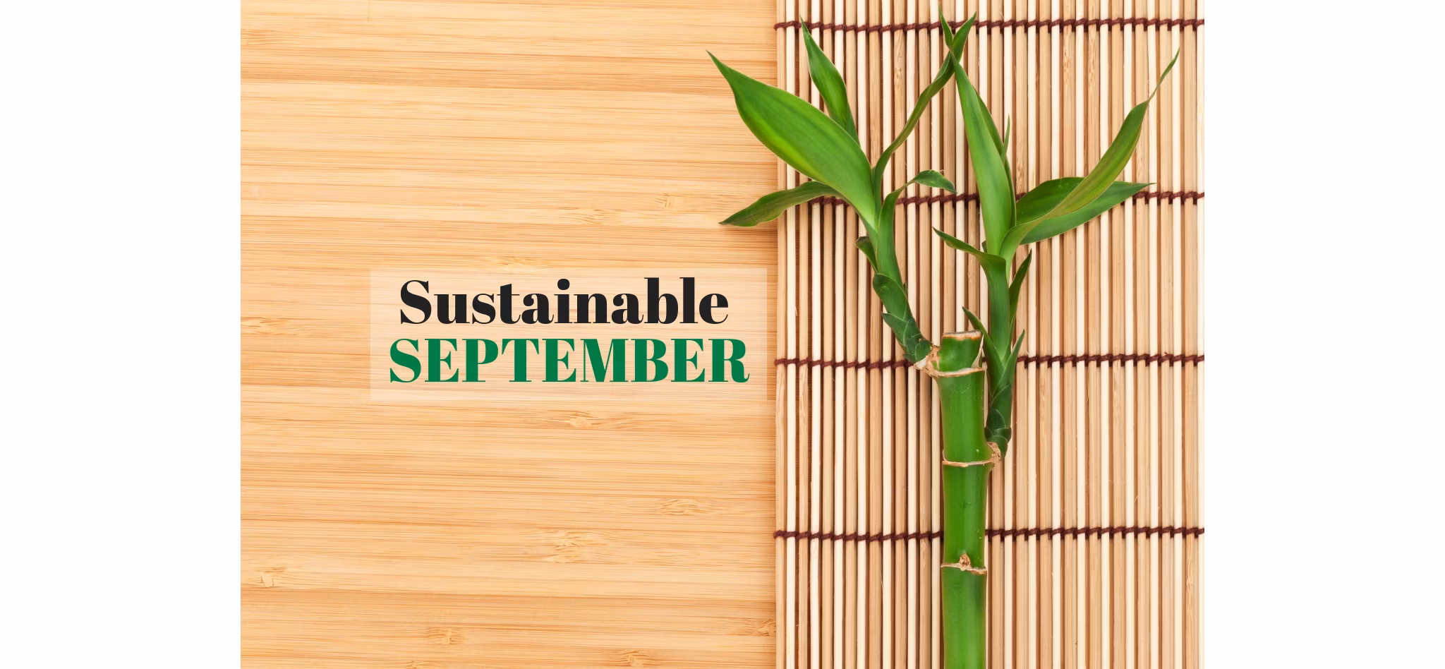 A bamboo stalk on a bamboo mat against a wooden background with 'Sustainable September' text.