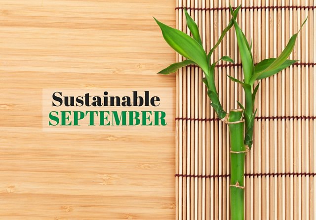 A bamboo stalk on a bamboo mat against a wooden background with 'Sustainable September' text.
