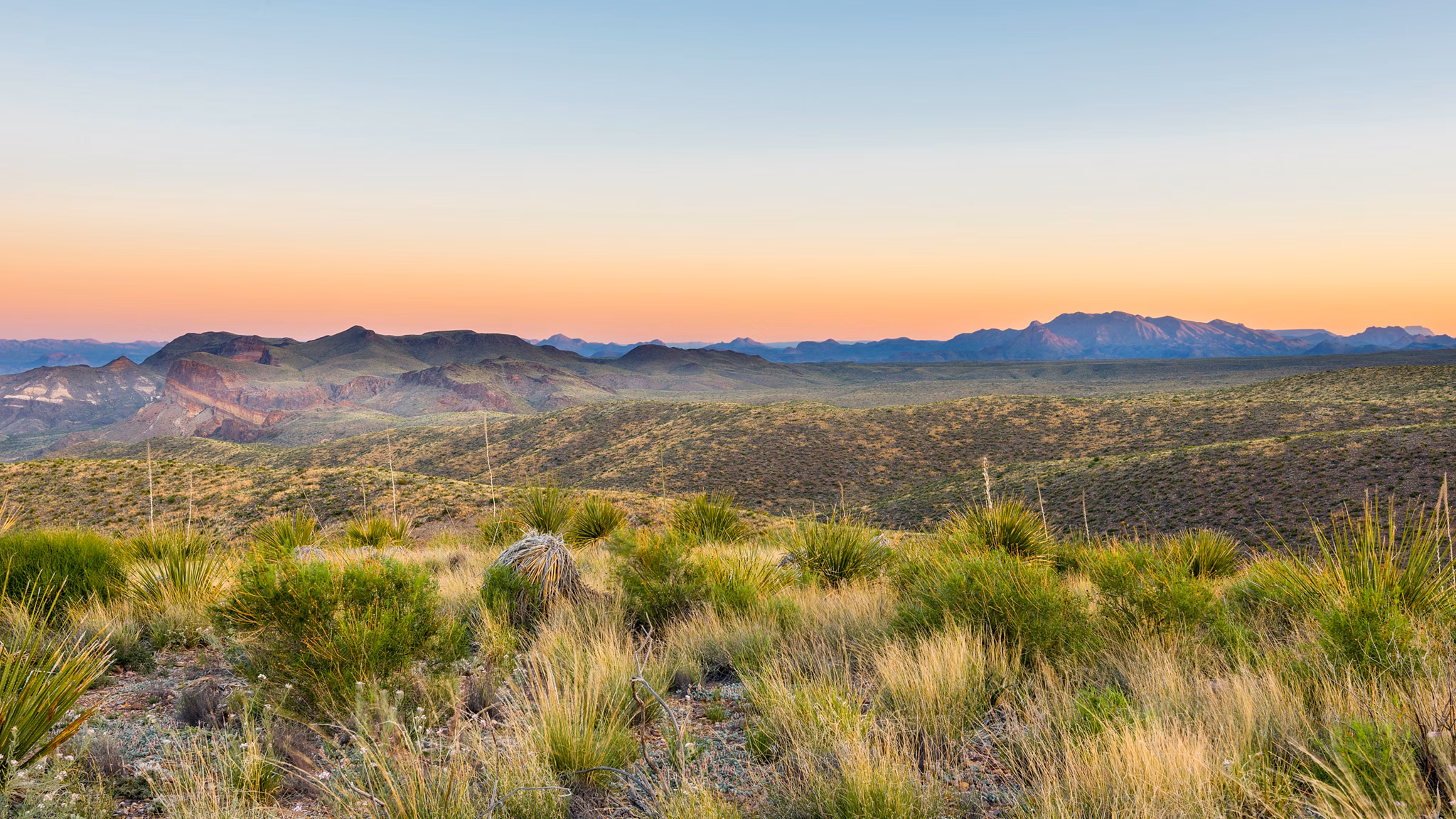 Chisos Mountains from Sotol Vista Overlook, on the Ross Maxwell Scenic Drive at sunrise, Big Bend National Park, Texas.
