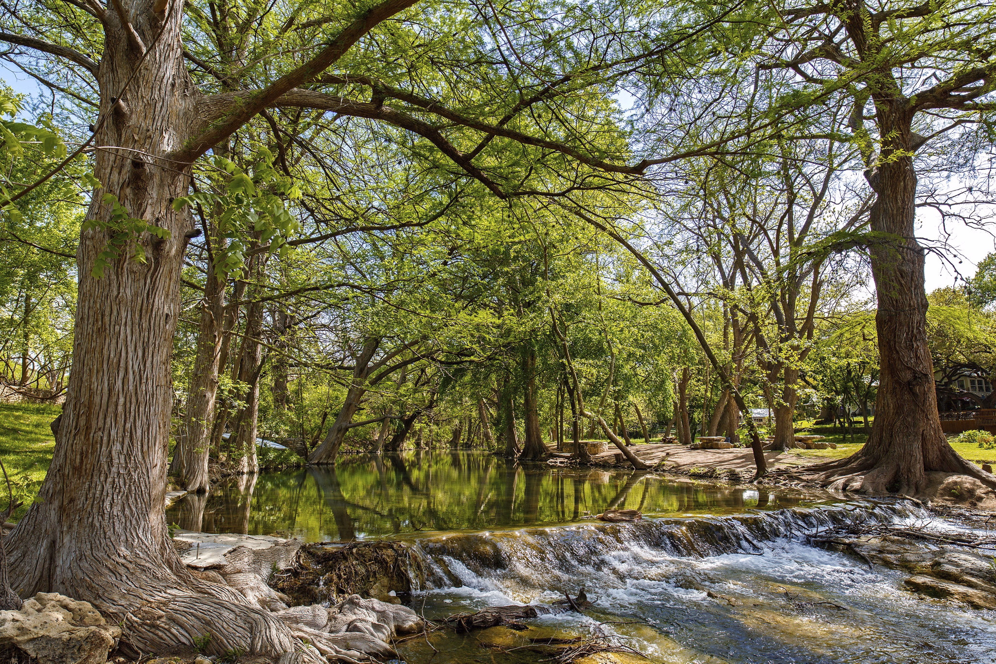The natural beauty of the Texas Hill Country in the small town of Wimberley.