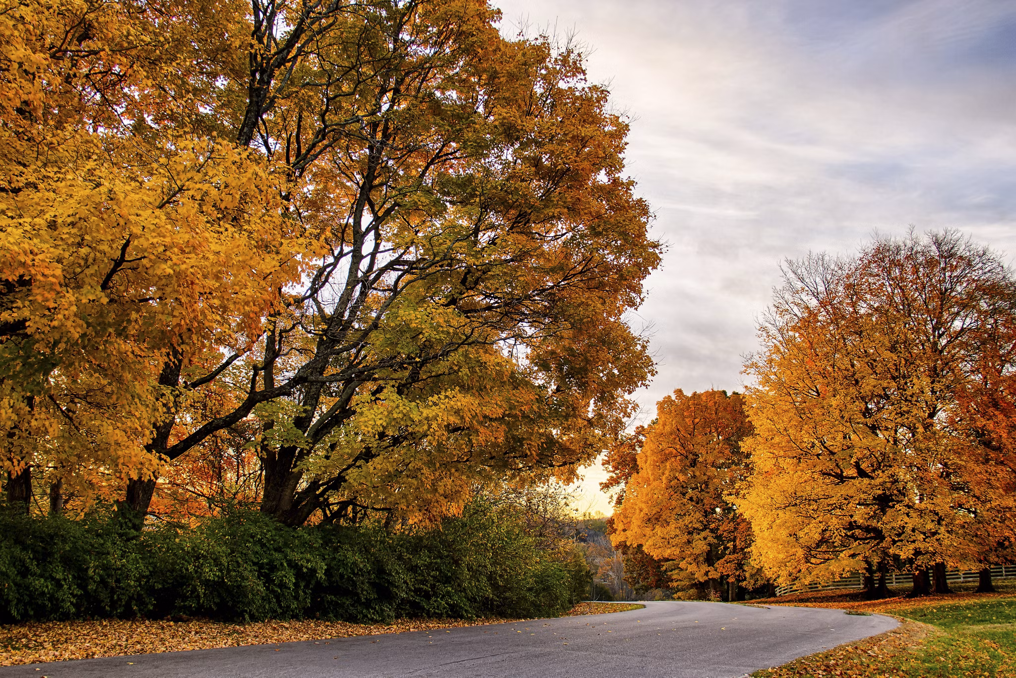A road cueves around trees that has beautiful fall leaves.