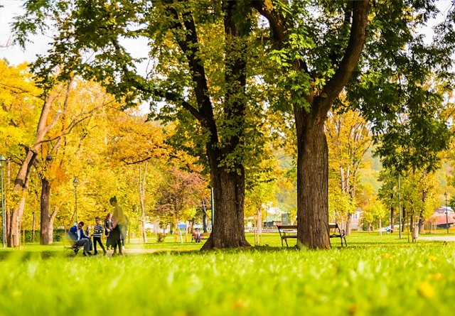 A day in the park | Photo by Srecko Skrobic on Unsplash | Greystar