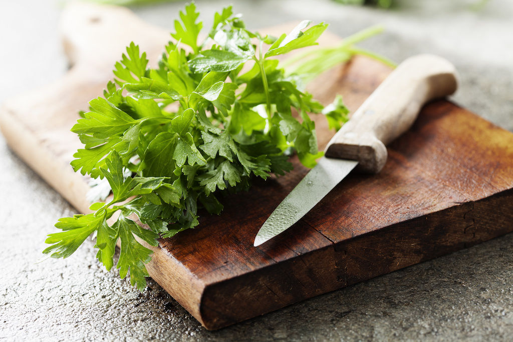 Parsley grown at an apartment