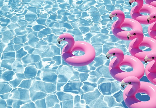 Several pink flamingo pool floats in a swimming pool, with one float separated from the group.