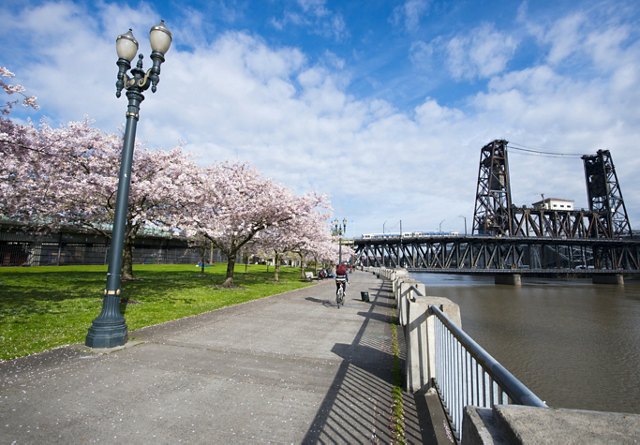 Bicyclist riding along Willamette River in Portland