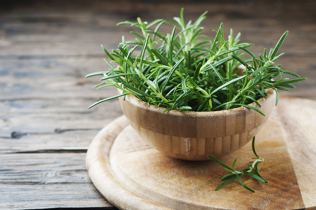 Rosemary grown at an apartment