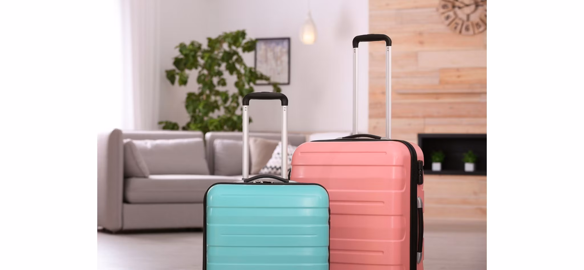 Two upright suitcases, one pink and one teal, in front of a modern living room setting with a gray couch and indoor plants.