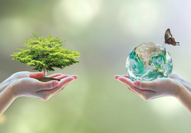 Two hands holding a tree and the Earth with a butterfly on it, symbolizing environmental care and sustainability.