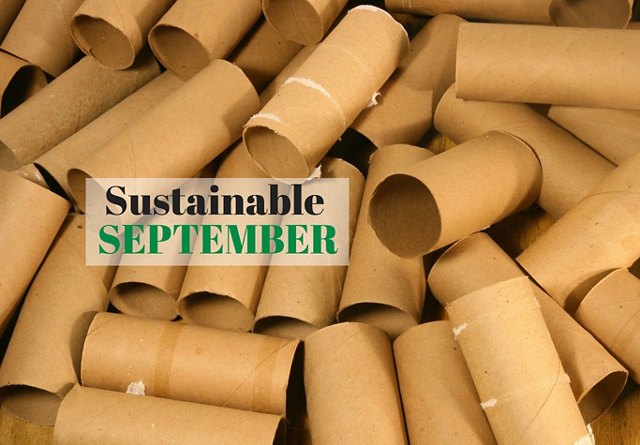 A pile of empty cardboard toilet paper rolls with the text 'Sustainable September' overlaid on top.