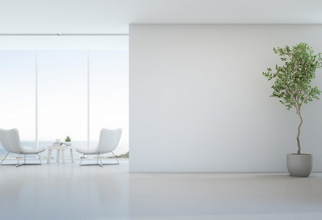 Minimalistic interior with two white chairs, a small table, and a potted tree beside a large window with a sea view.