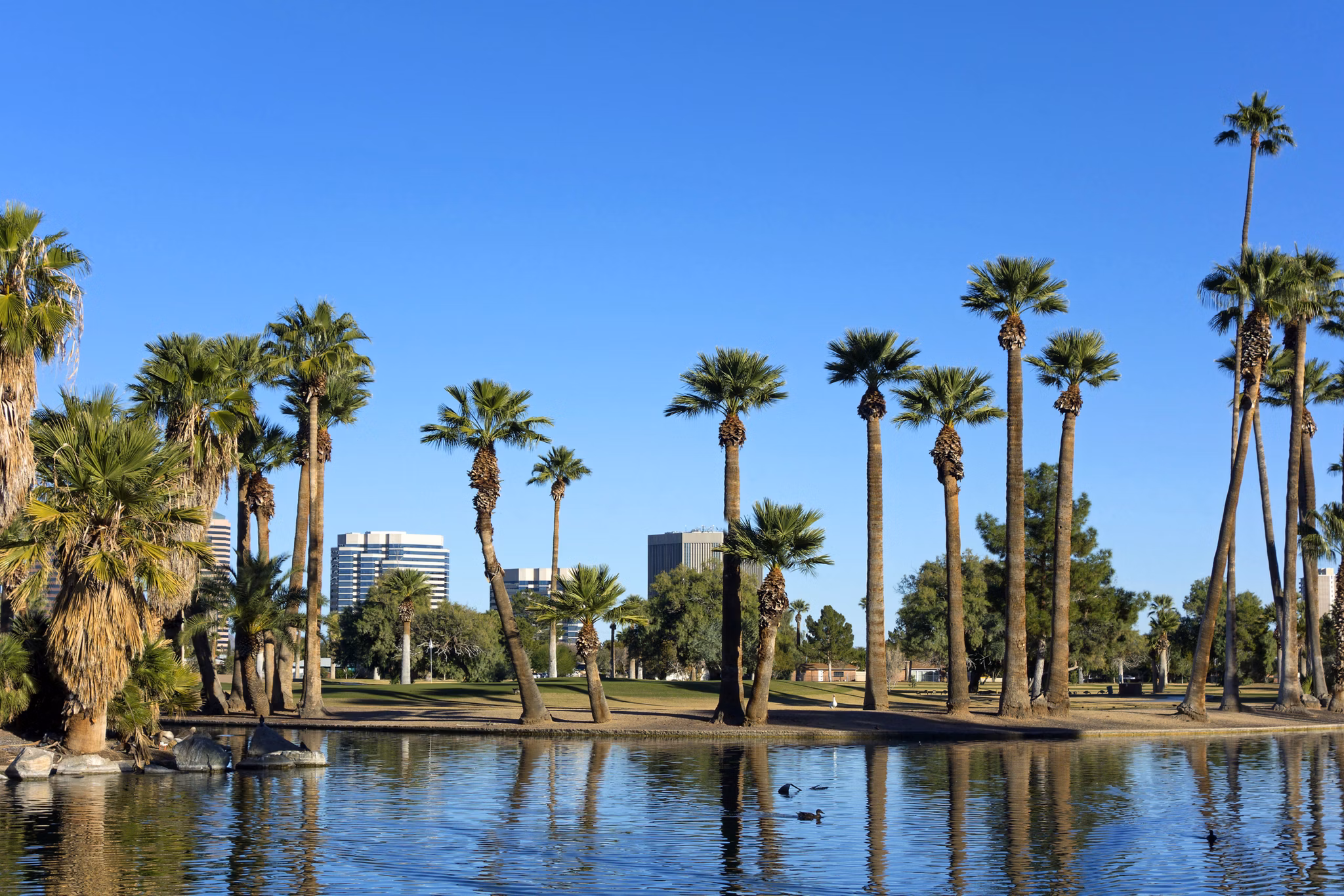 Bright blue winter sky on the lake in Encanto park located right in downtown of Phoenix, Arizona; Copyspace