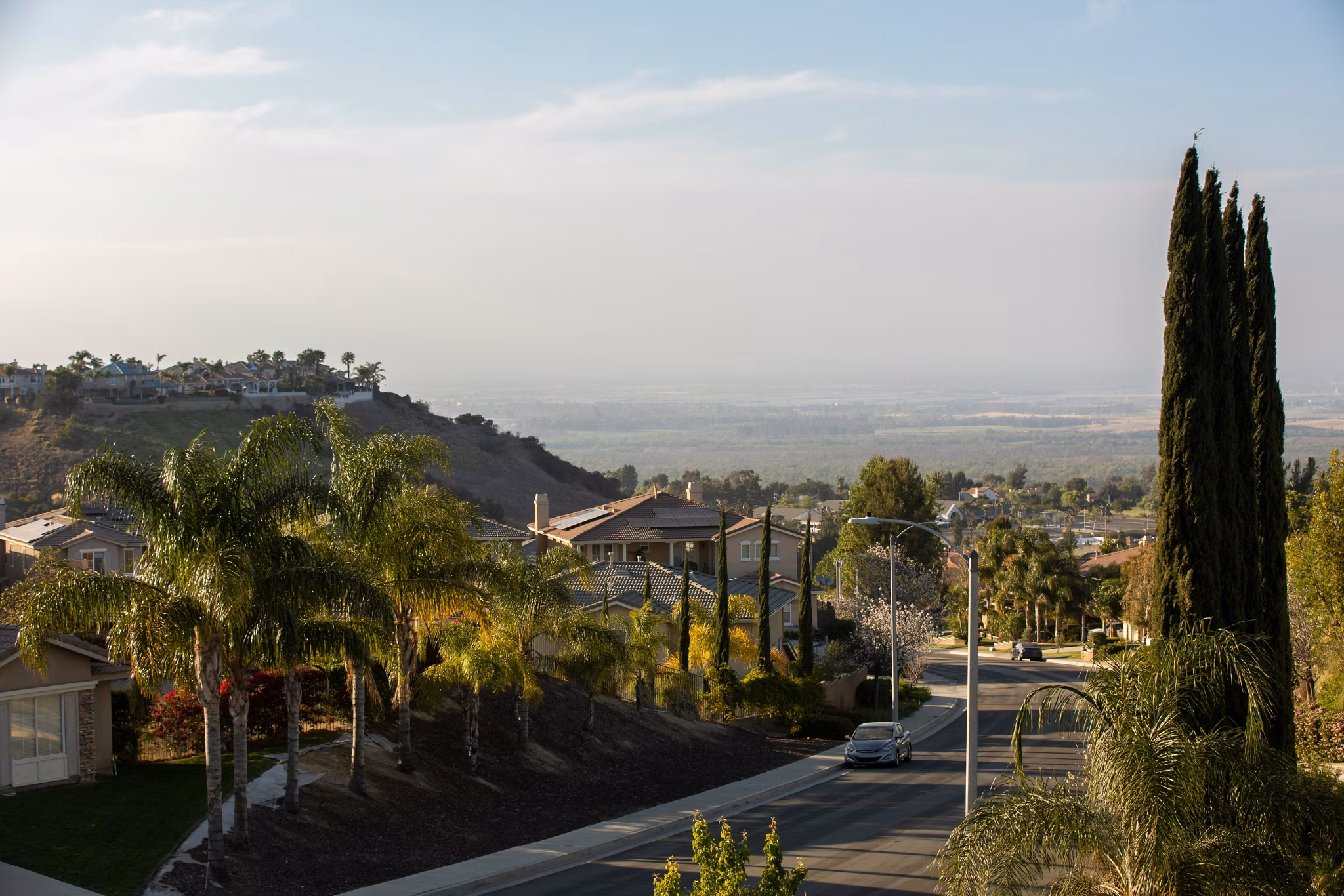 A quiet suburban street in Corona, California, lined with palm trees and houses, with distant hills and open land in the background.