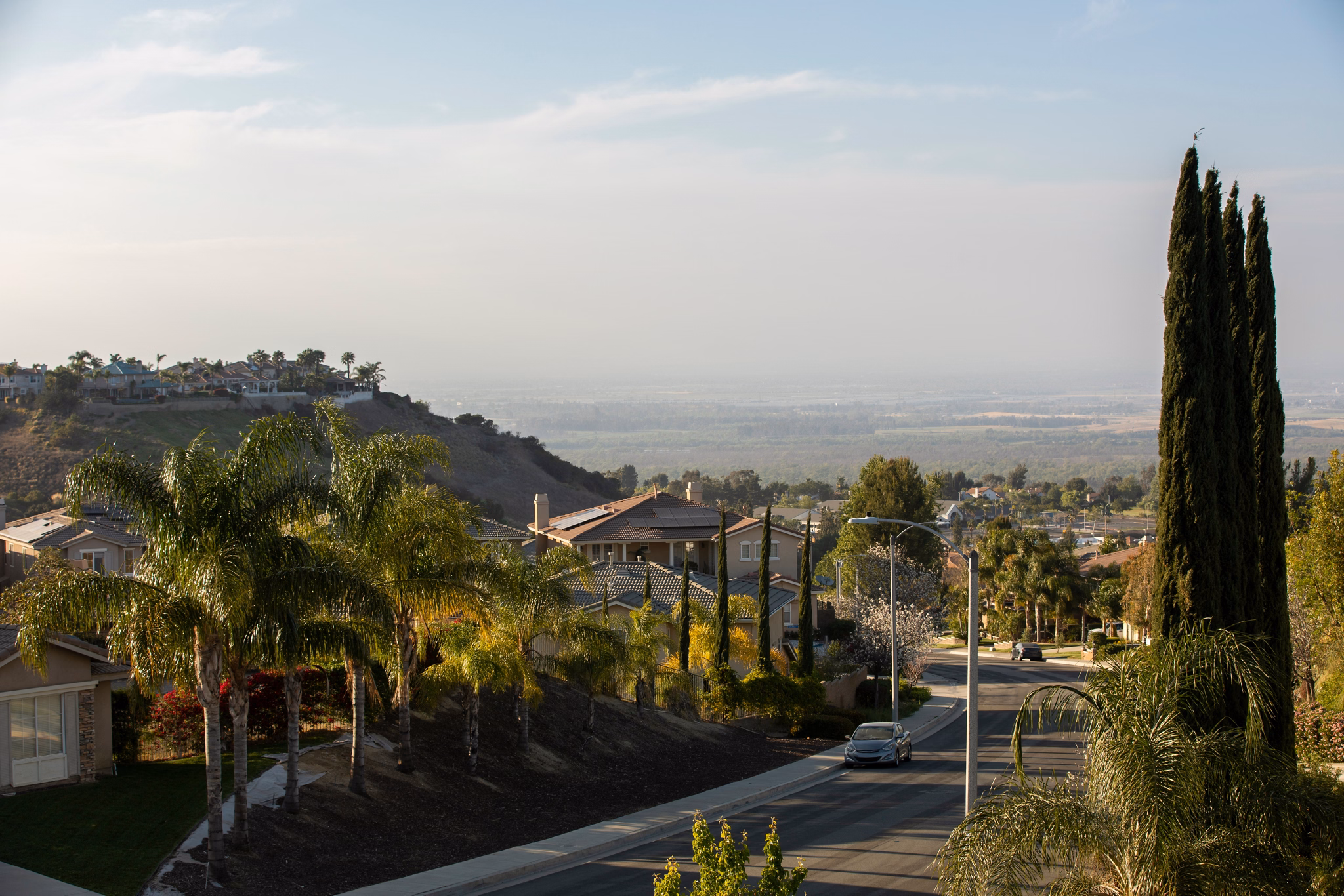 A quiet suburban street in Corona, California, lined with palm trees and houses, with distant hills and open land in the background.