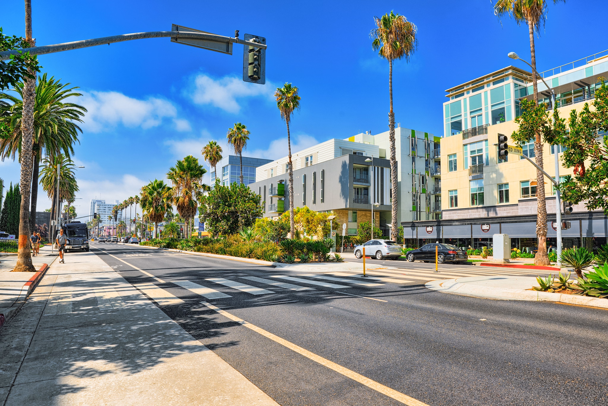 A sunny street in Santa Monica, California, lined with palm trees, modern buildings, and parked cars under a bright blue sky.