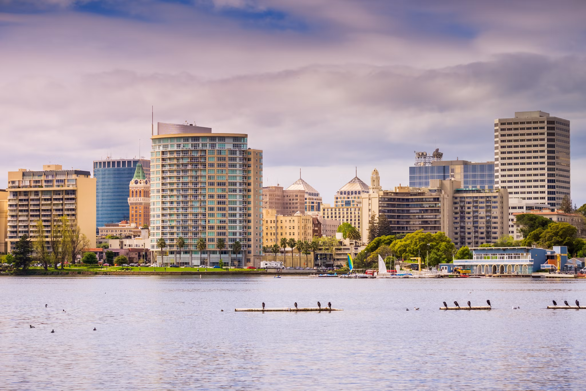 Oakland skyline along Lake Merritt in California, with waterfront buildings and birds resting on platforms in the water.