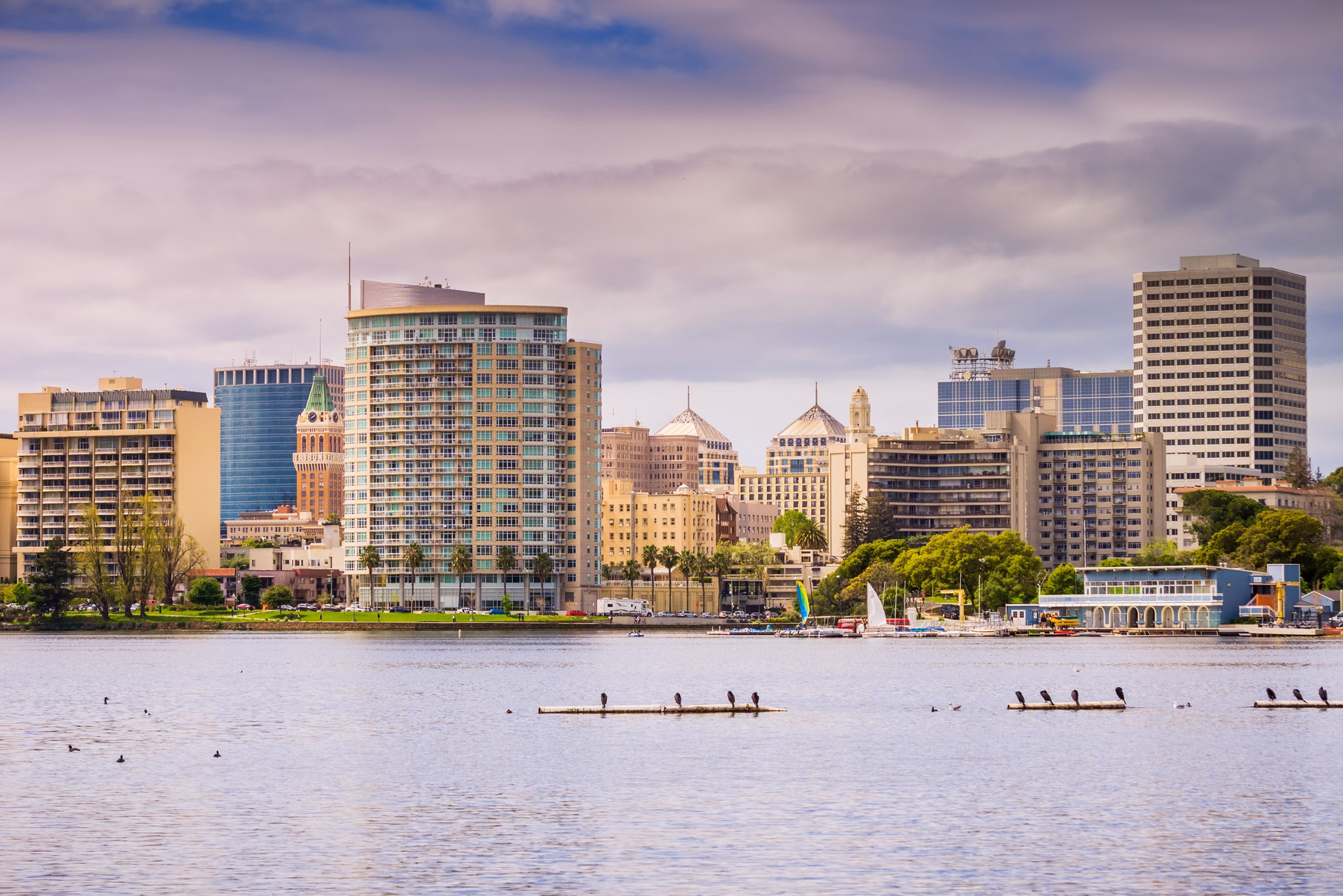 Oakland skyline along Lake Merritt in California, with waterfront buildings and birds resting on platforms in the water.