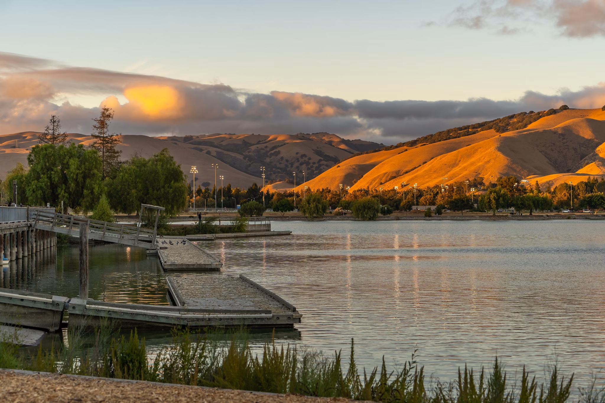 Peaceful lakeside scene in Fremont, California, featuring golden hills, trees, and a wooden dock under a cloudy sky at sunset.