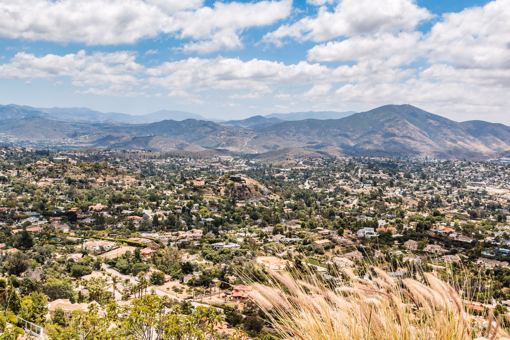 Aerial view of La Mesa, California showcasing treelined streets and mountain ranges in background.