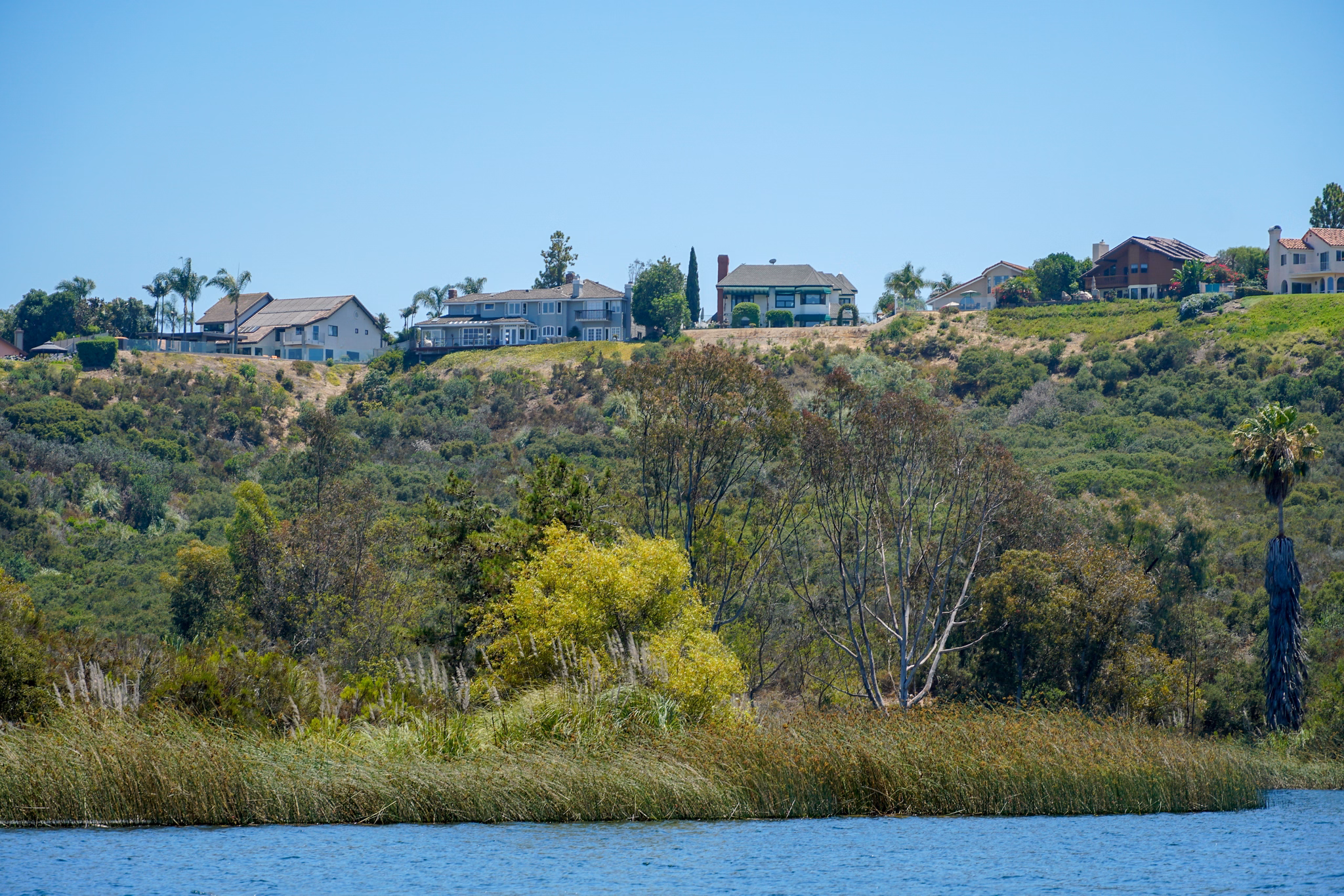 Hillside homes overlooking greenery and a lake in the Mira Mesa/Scripps Ranch neighborhood of California on a sunny day.