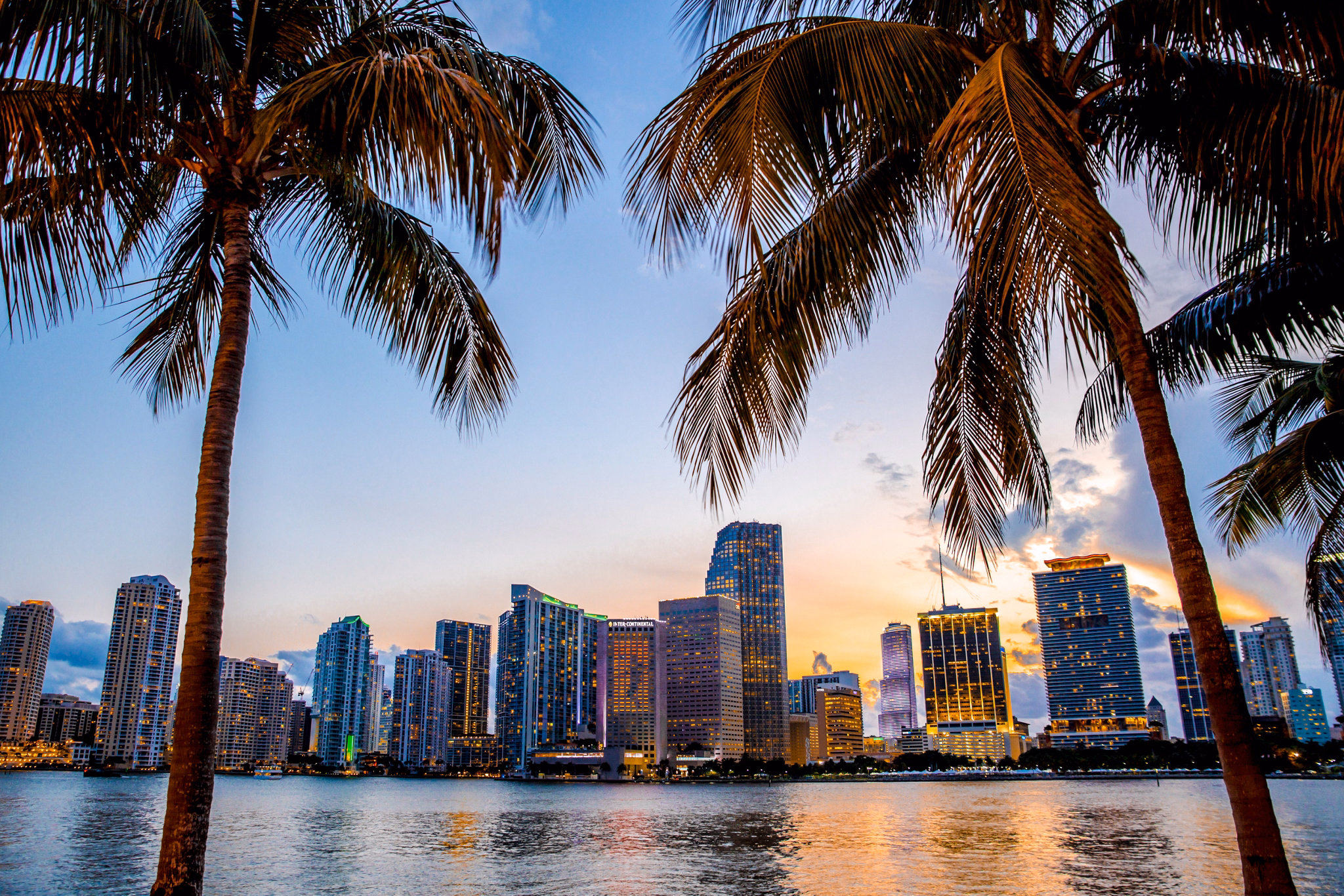 Downtown Miami, Florida skyline at sunset viewed through palm trees, with skyscrapers reflecting golden light on the water.