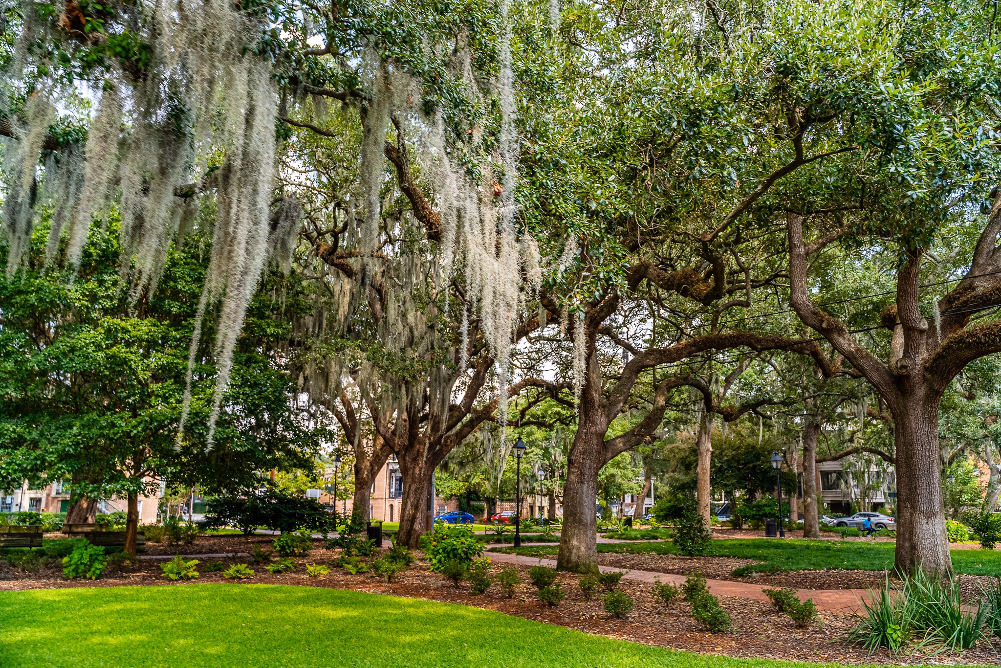 Lush park in Calhoun, GA with majestic oak trees draped in Spanish moss, winding brick paths, and green lawn areas.