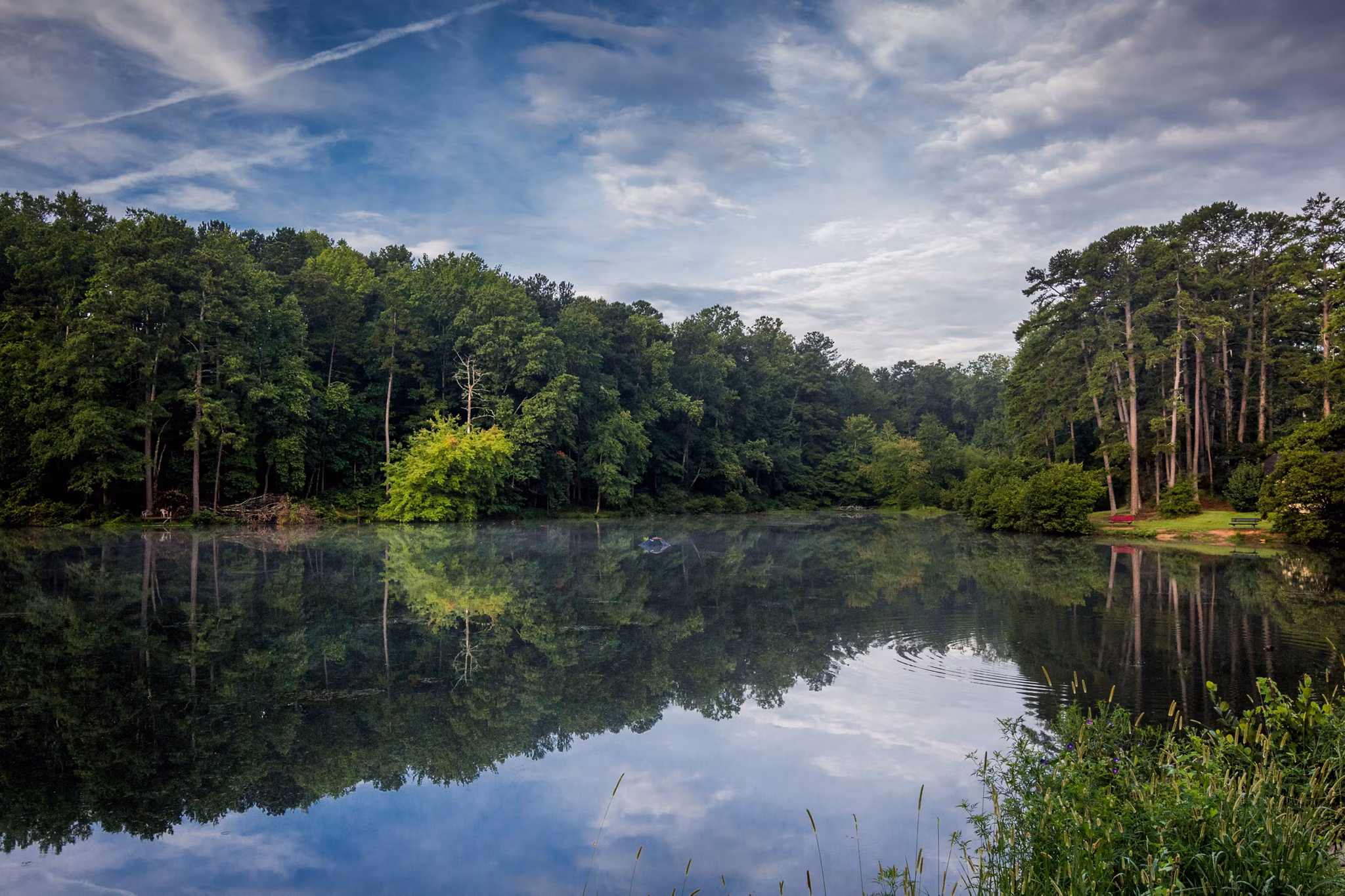 Calm lake in Tucker/North Lake, GA reflecting lush green trees and blue sky with clouds, surrounded by peaceful forest.
