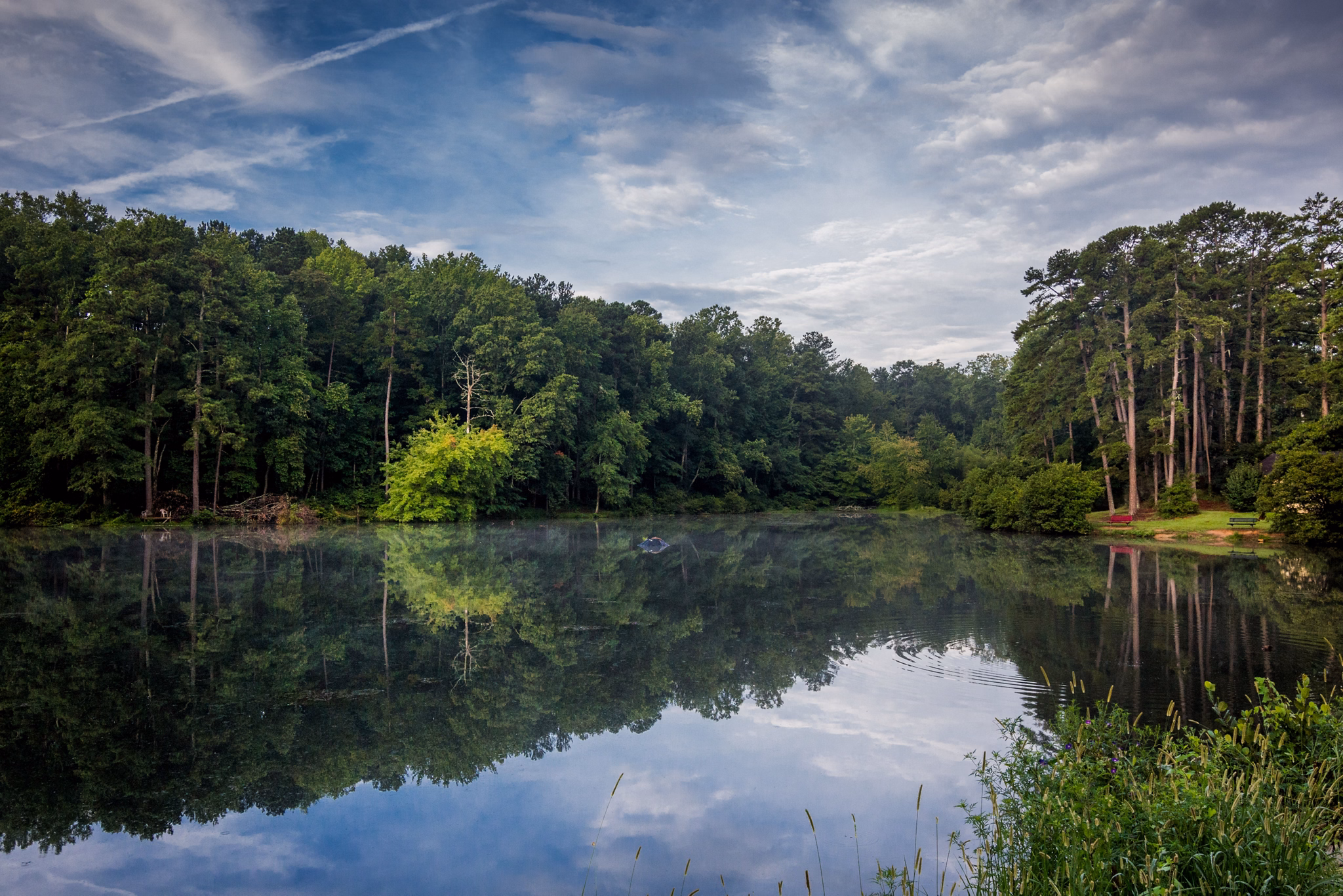Calm lake in Tucker/North Lake, GA reflecting lush green trees and blue sky with clouds, surrounded by peaceful forest.