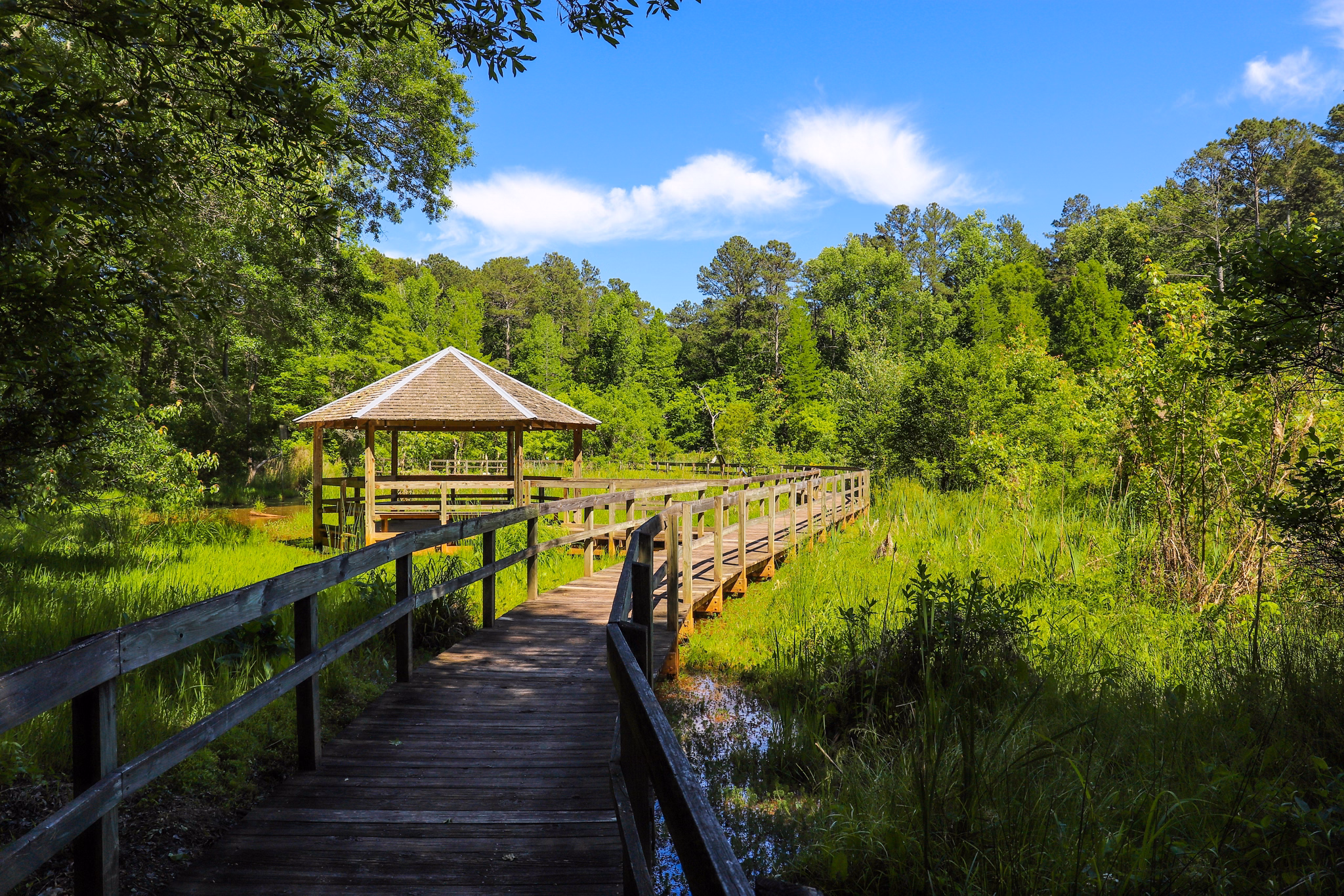 Wooden boardwalk through wetlands in Henry County, GA with covered gazebo, lush green vegetation, and blue sky above.