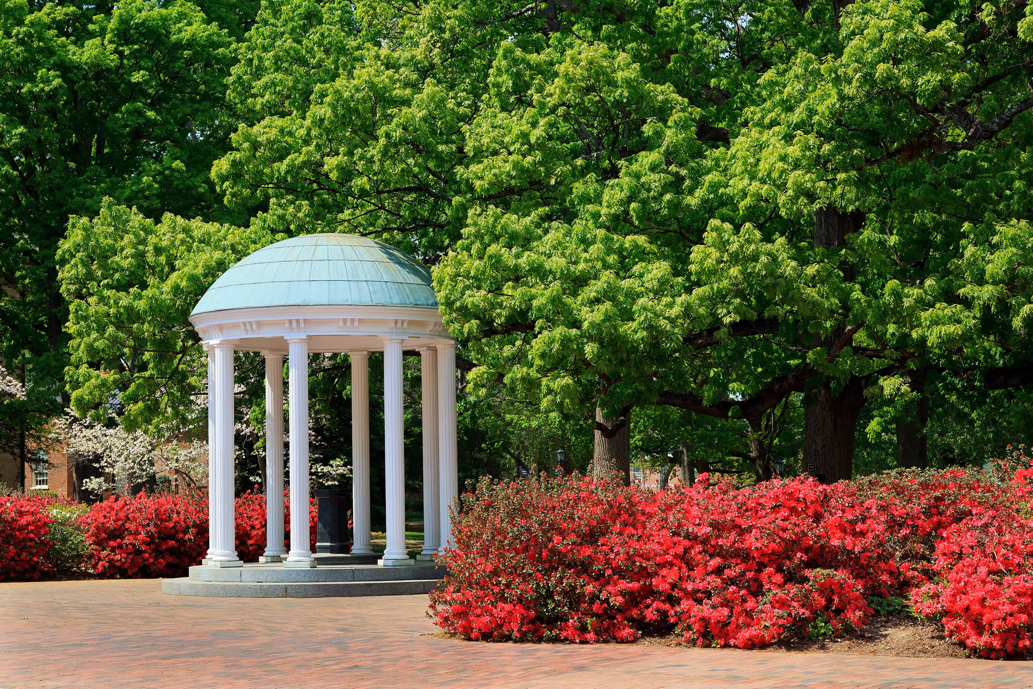 The Old Well, a UNC Chapel Hill landmark, is framed by vibrant pink azaleas in the springtime, Chapel Hill, North Carolina.