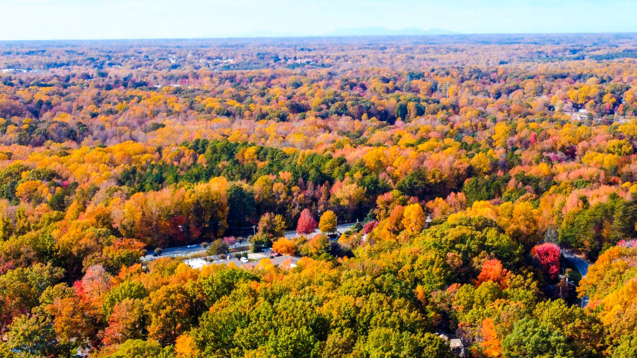 Kernersville NC aerial view showcasing fall foliage and tree-covered neighborhoods - Forsyth County North Carolina living