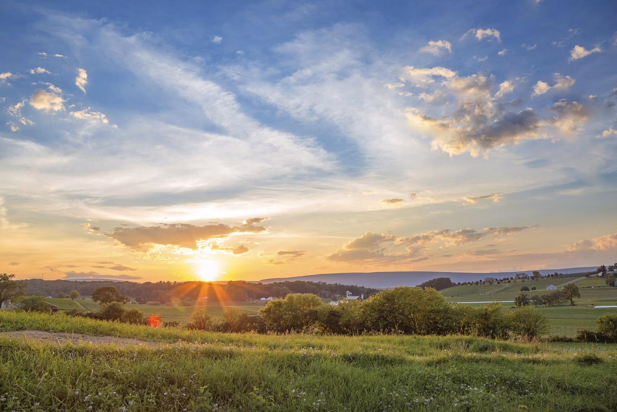 meadow in Bloomsburg-Berwick