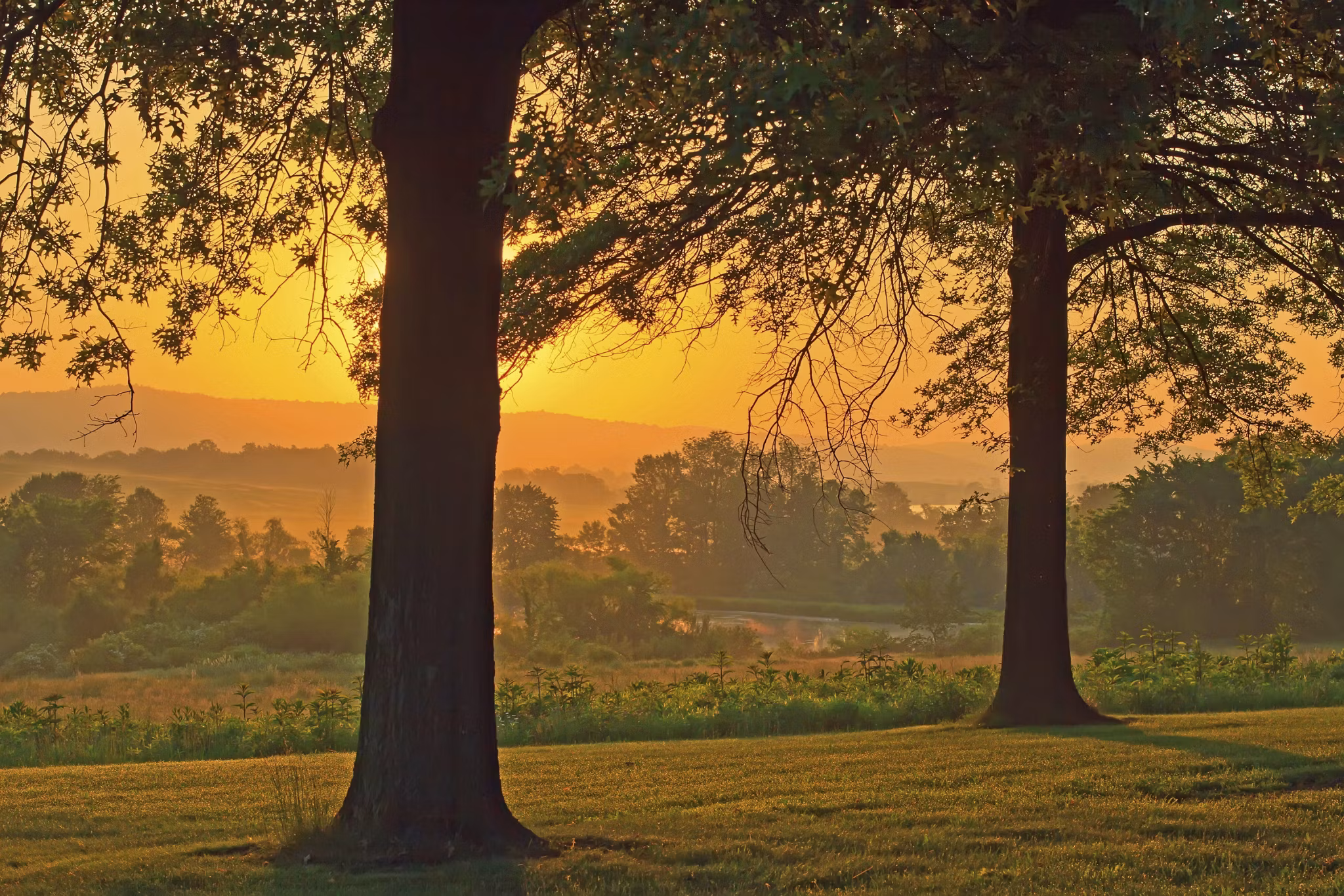 A beautiful foggy springtime sunrise in Lancaster County, Pennsylvania.