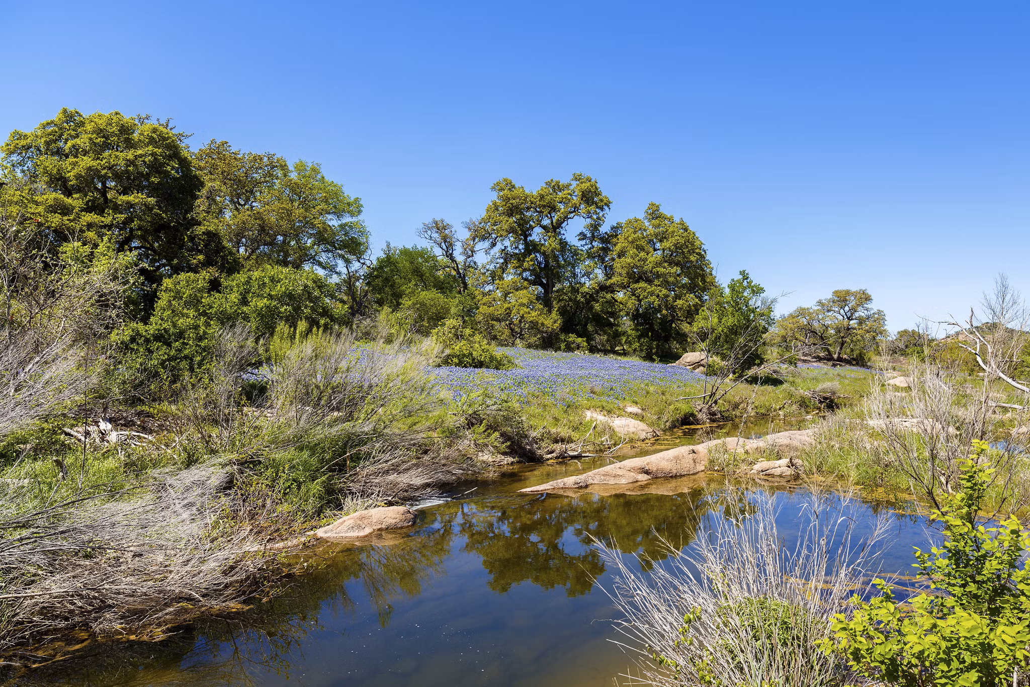 Rocky creek in the Texas Hill Country.