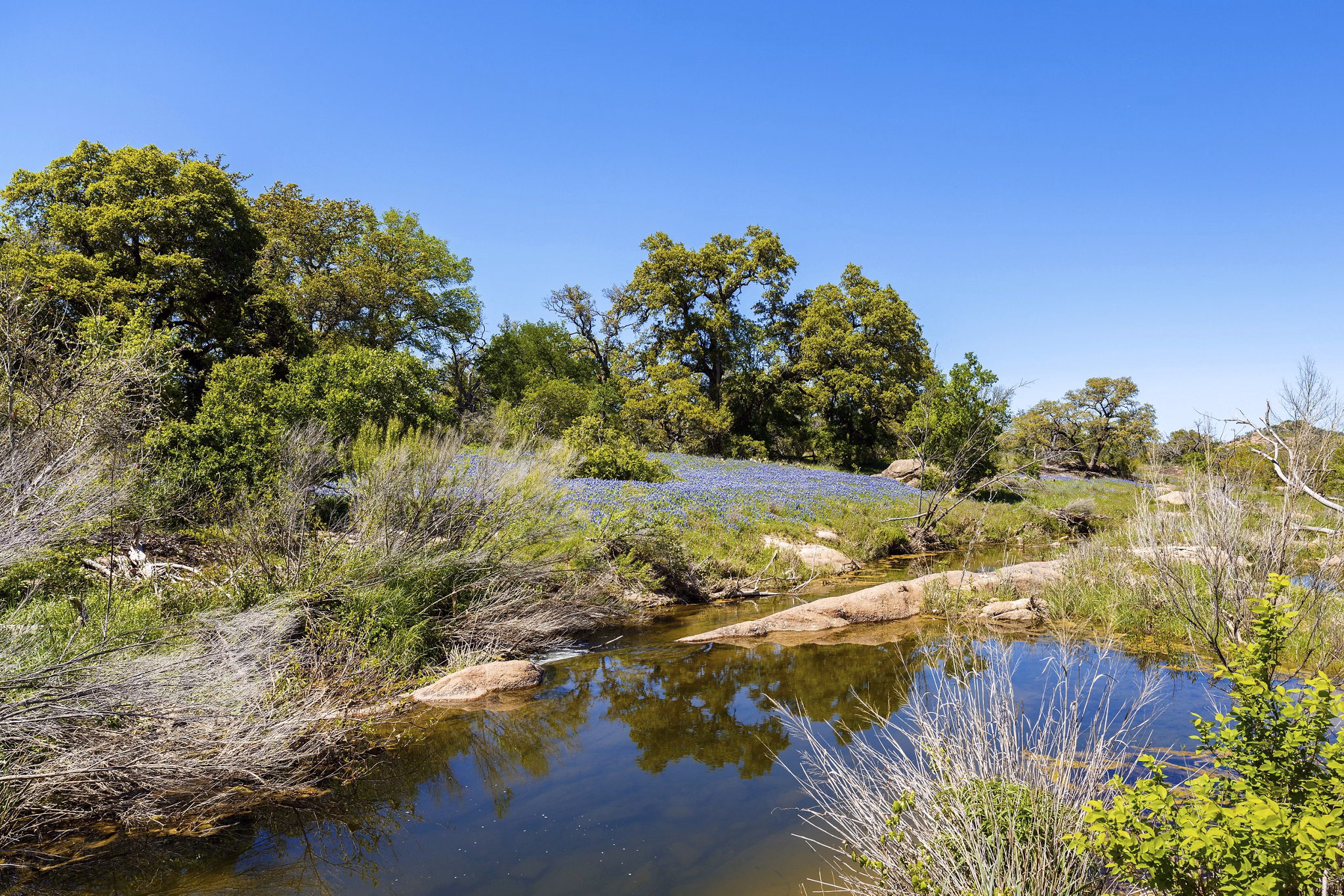 Rocky creek in the Texas Hill Country.