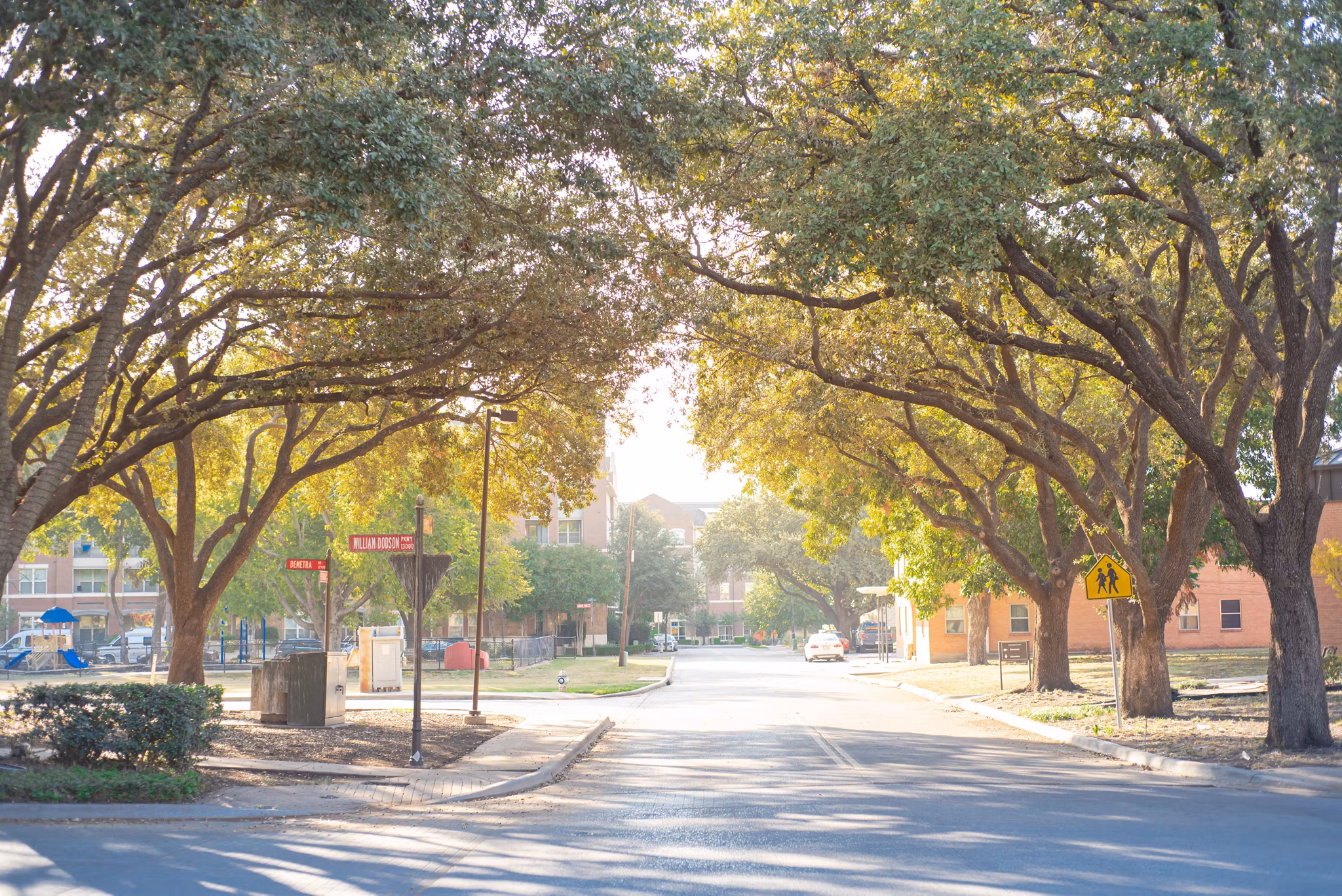 Tree lined street on a sunny day in Roesedale Brentwood section of Austin