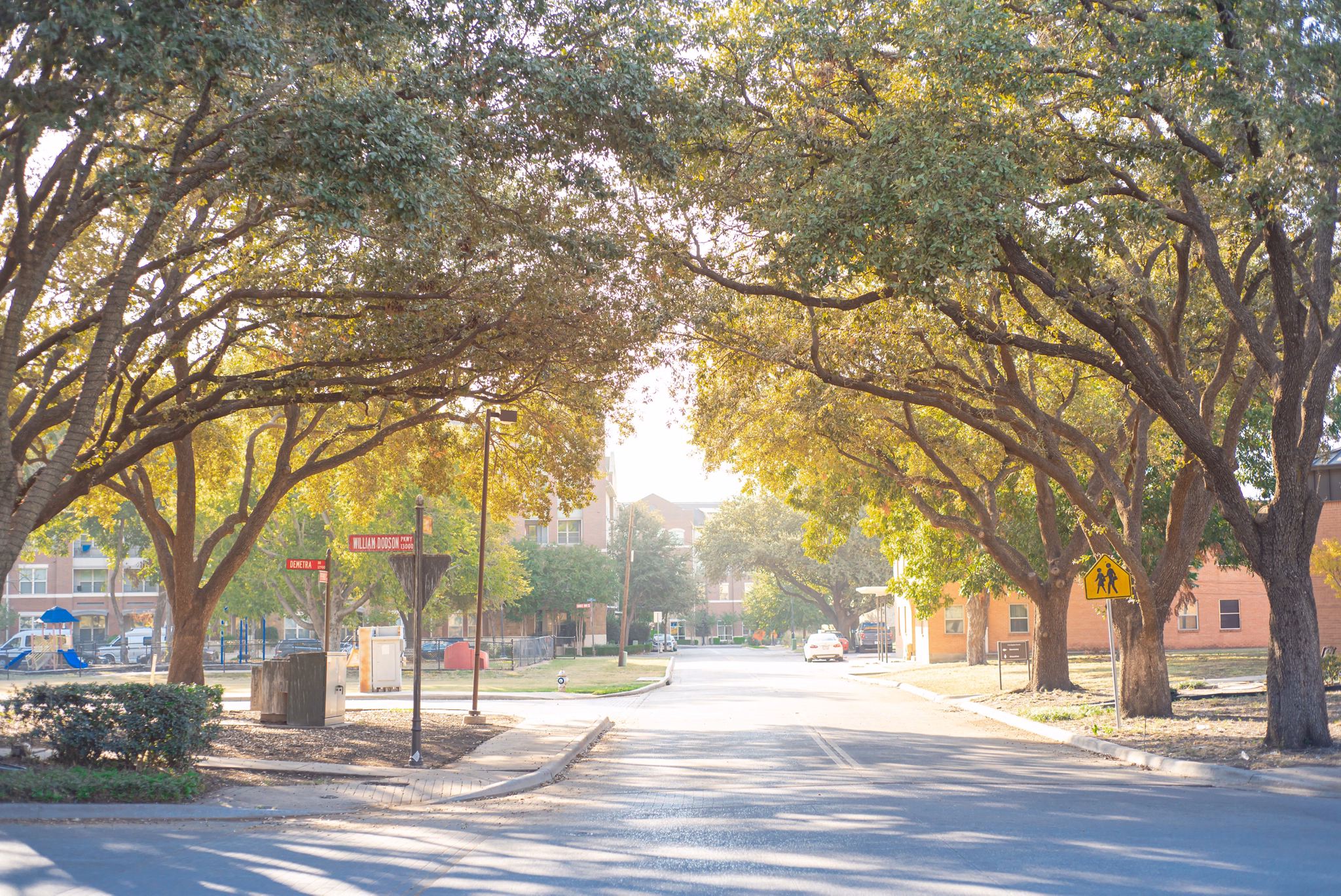 Tree lined street on a sunny day in Roesedale Brentwood section of Austin