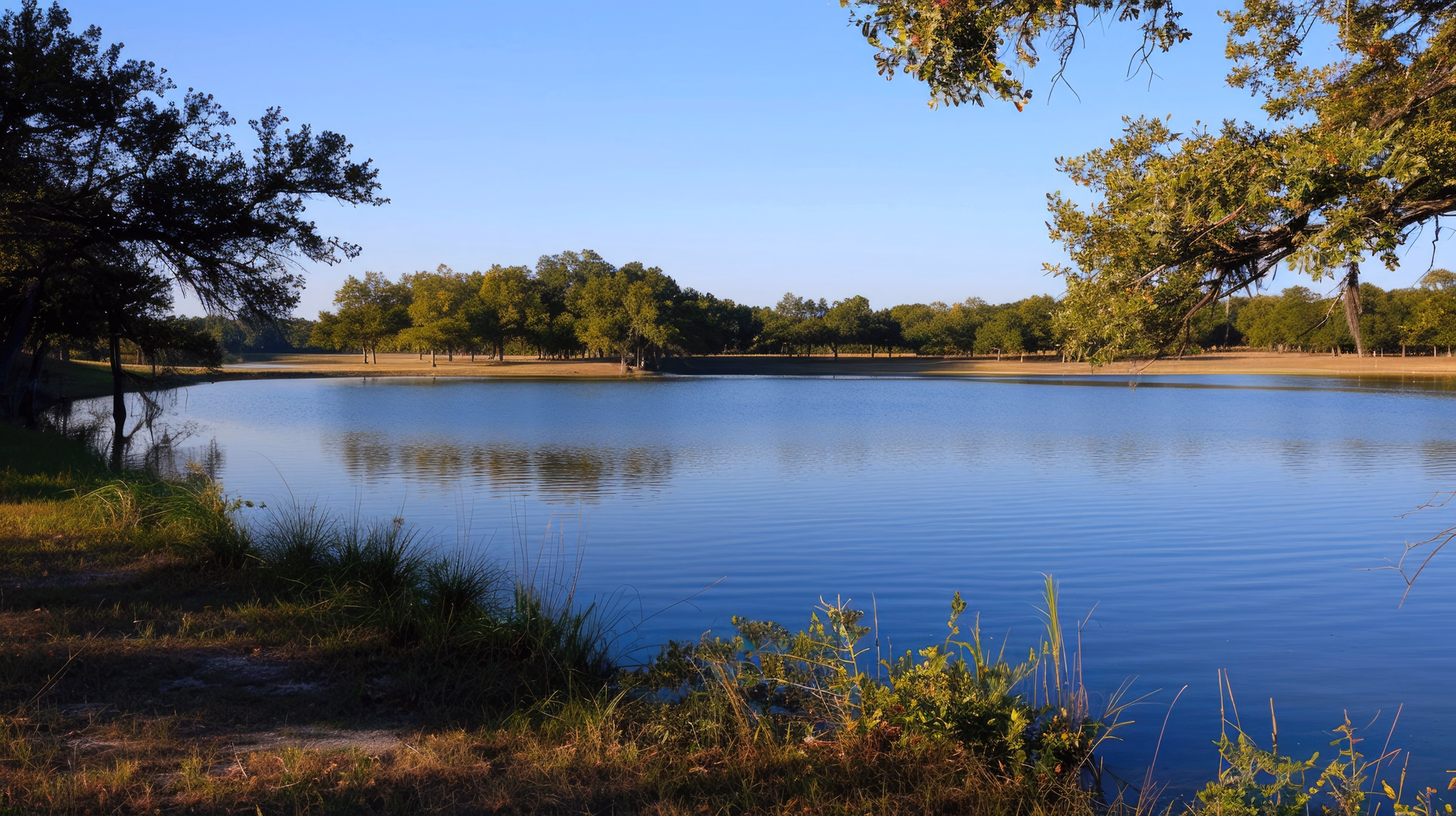 A peaceful lake surrounded by trees in Bryan, Texas, reflecting clear blue skies and calm water.