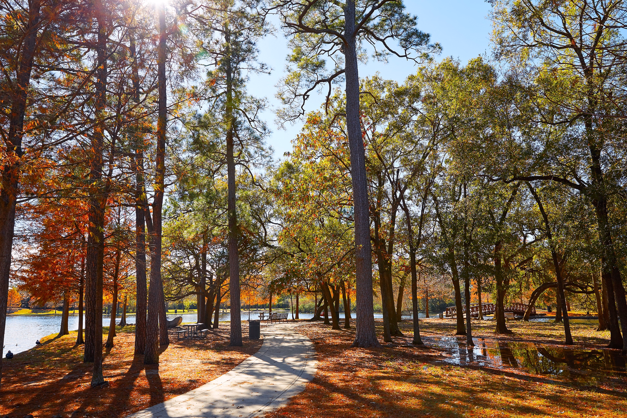 Houston Hermann park conservancy track at autumn in Texas