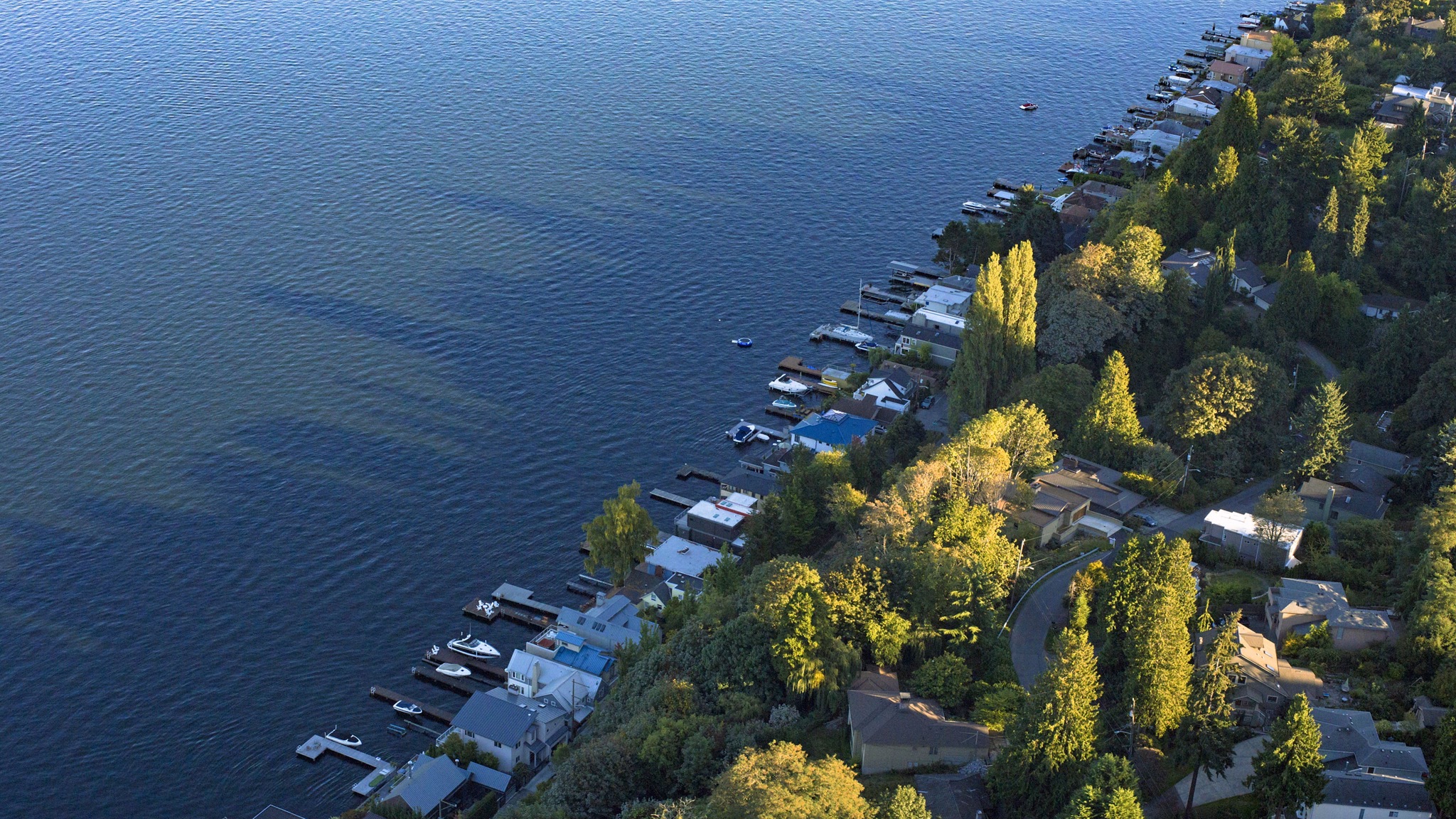 Shoreline Apartments