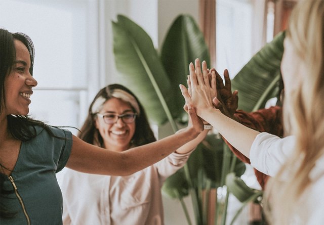 Group of joyful women giving a high five, celebrating teamwork or success in a room with green plants in the background.