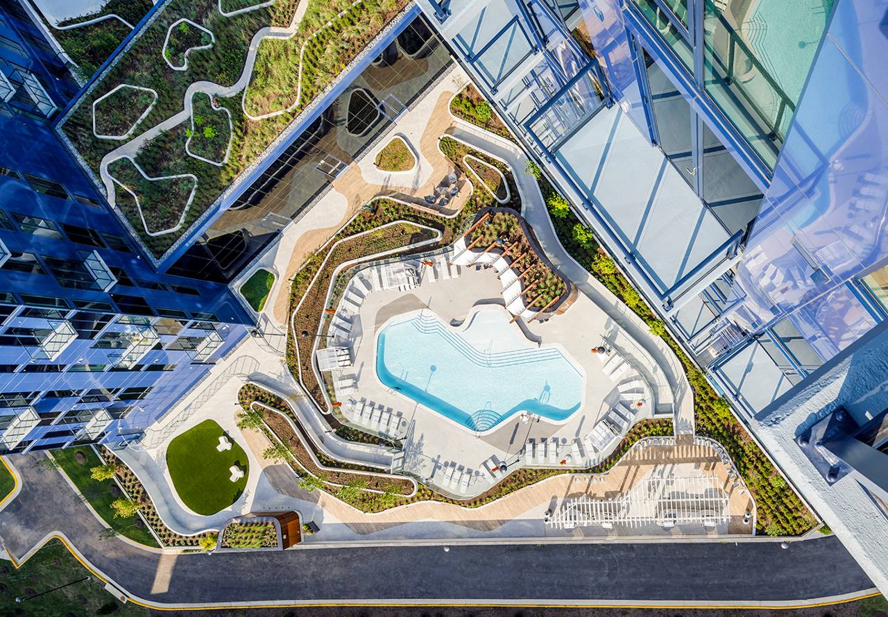 Aerial view of a rooftop pool with surrounding garden beds and lounging areas next to a glass high-rise building.