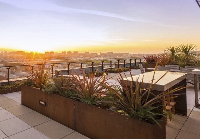 Sunset view from an urban rooftop garden with seating area and lush plants, city horizon in the background.